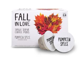 Fall In Love Pumpkin Spice Coffee K-Cup Pods 12 Count
